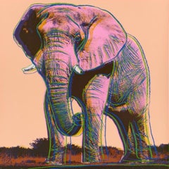 Elefante africano di Andy Warhol