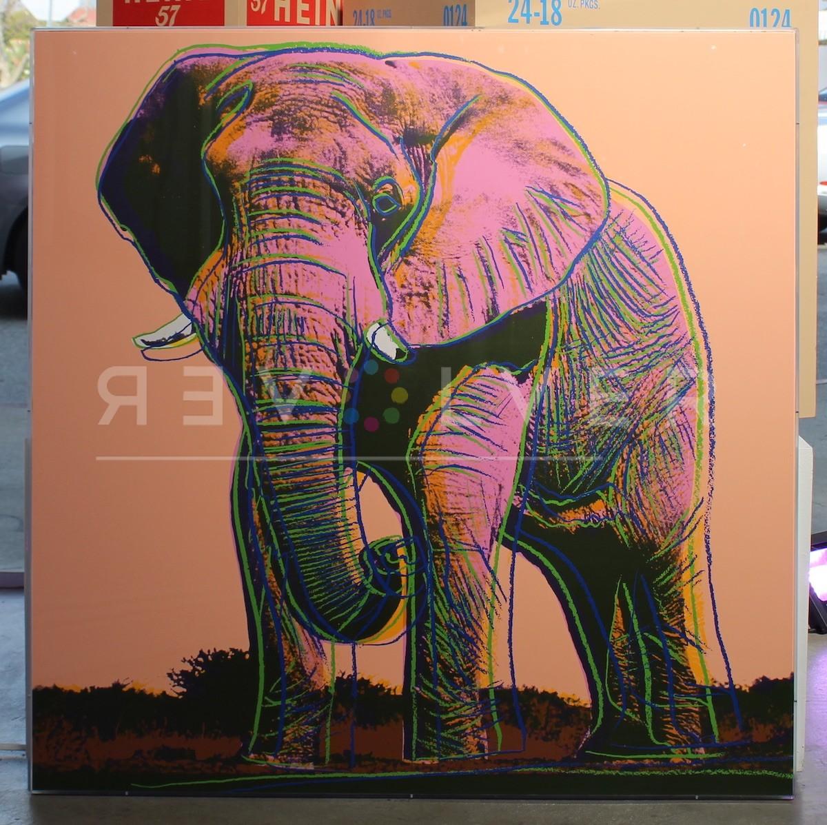 andy warhol elephant print