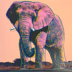 African Elephant II.293