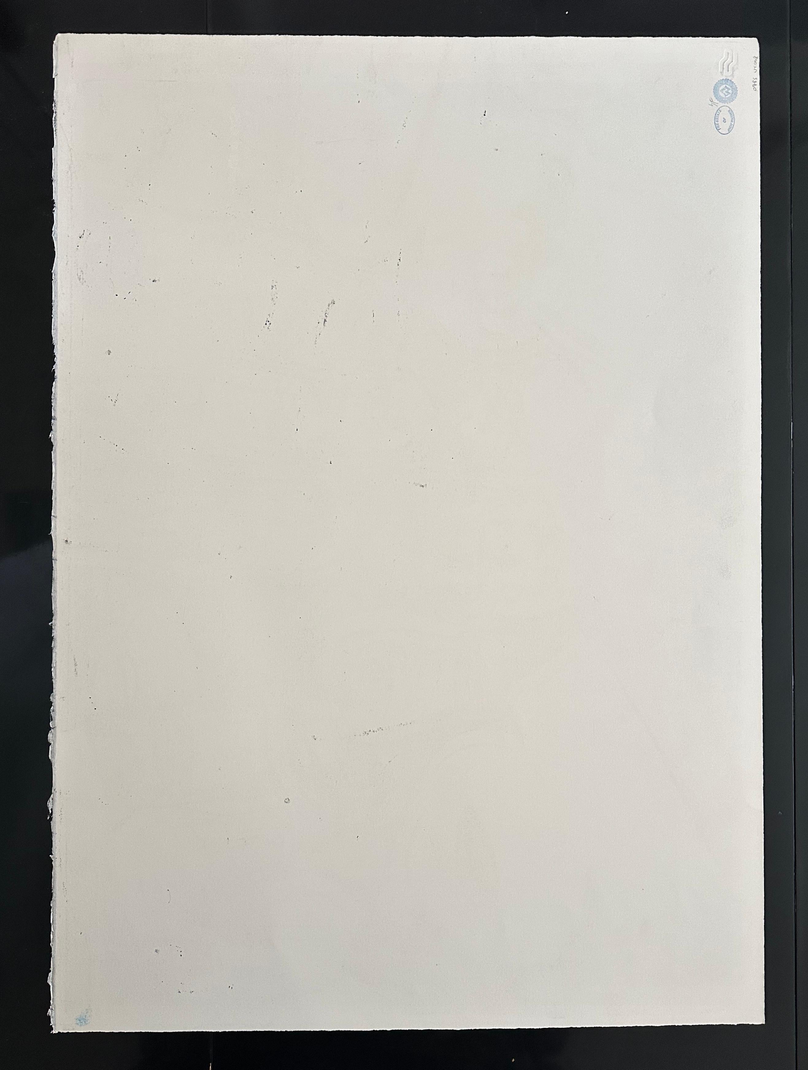 Work comes with a Certificate of Provenance issued by Christie's.

Stamped on the verso by the Estate of the Artist and The Andy Warhol Foundation for the Visual Arts. Foundation number also written on verso

Provenance: From the Estate of the