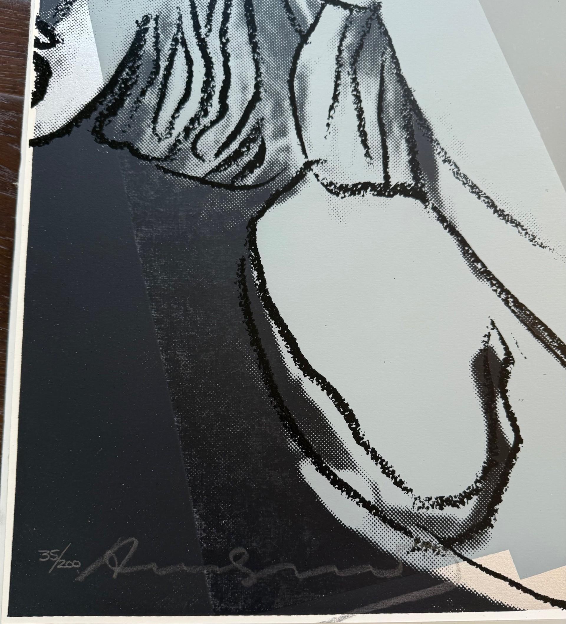 Albert Einstein F&S II.229 - Print by Andy Warhol