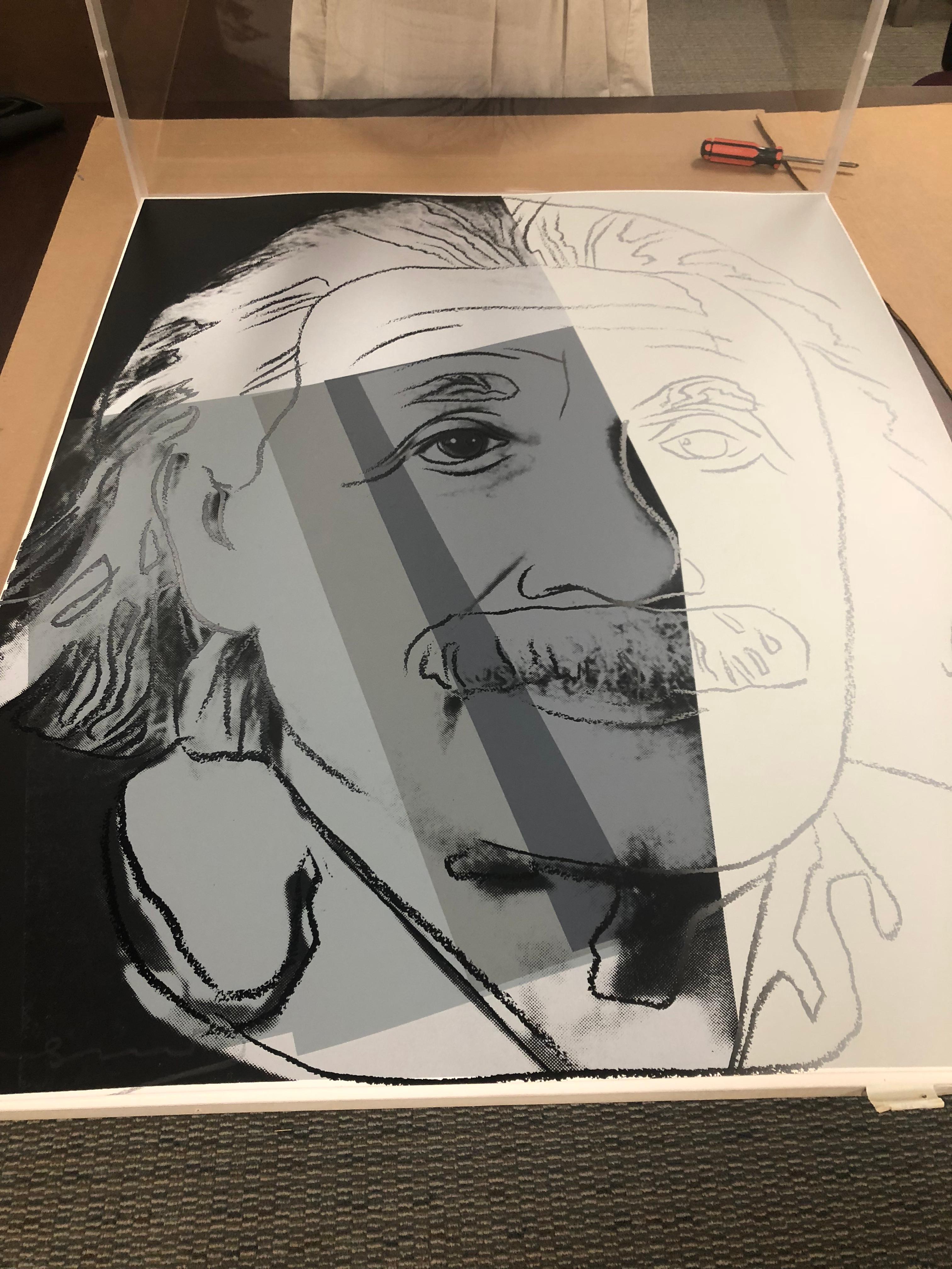 Albert Einstein F&S II.229 - Pop Art Print by Andy Warhol