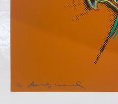 Andy Warhol Geronimo