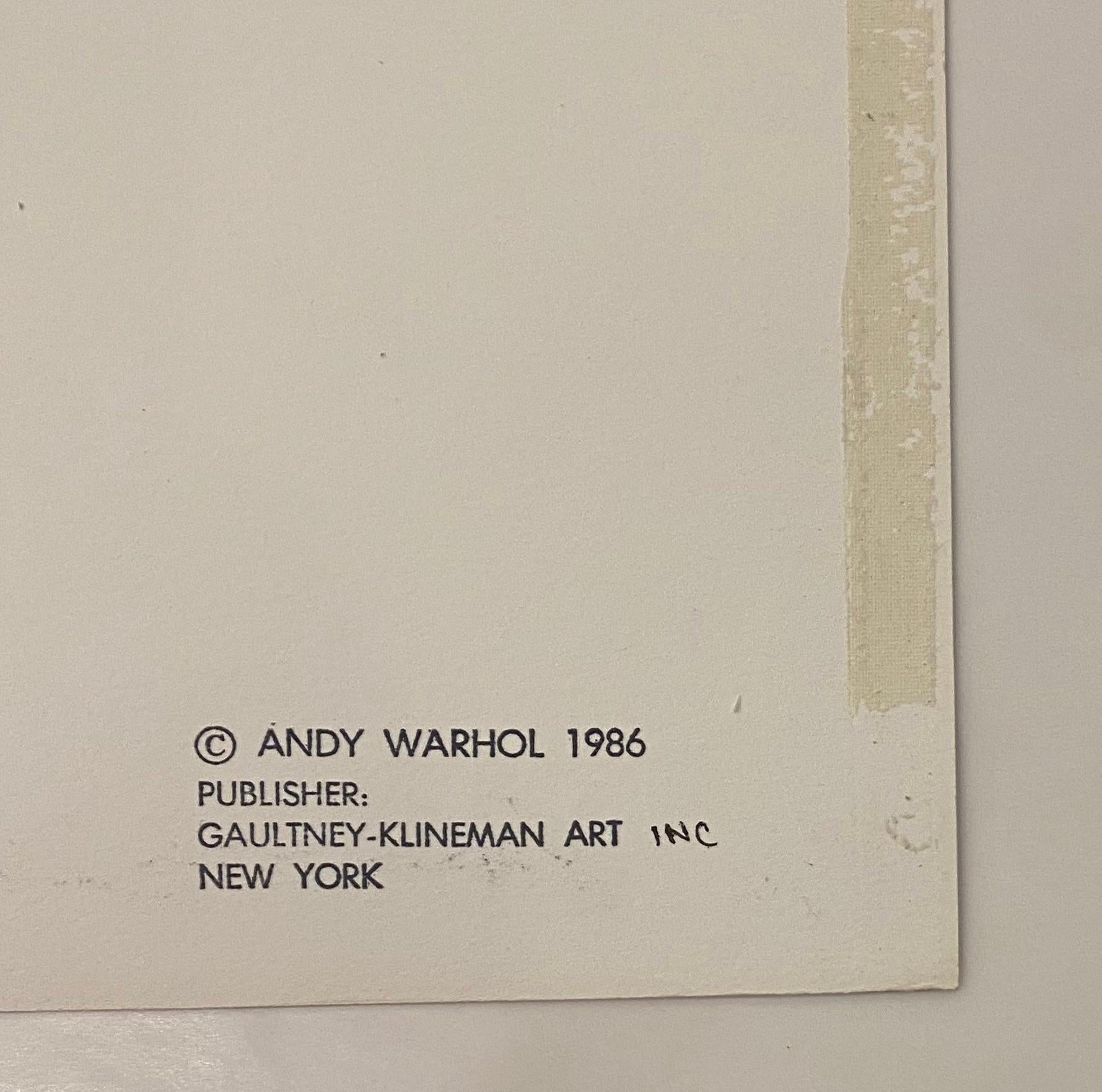 Andy Warhol Geronimo 3