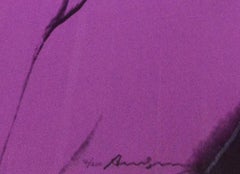 Andy Warhol, Karen Kain, 1980