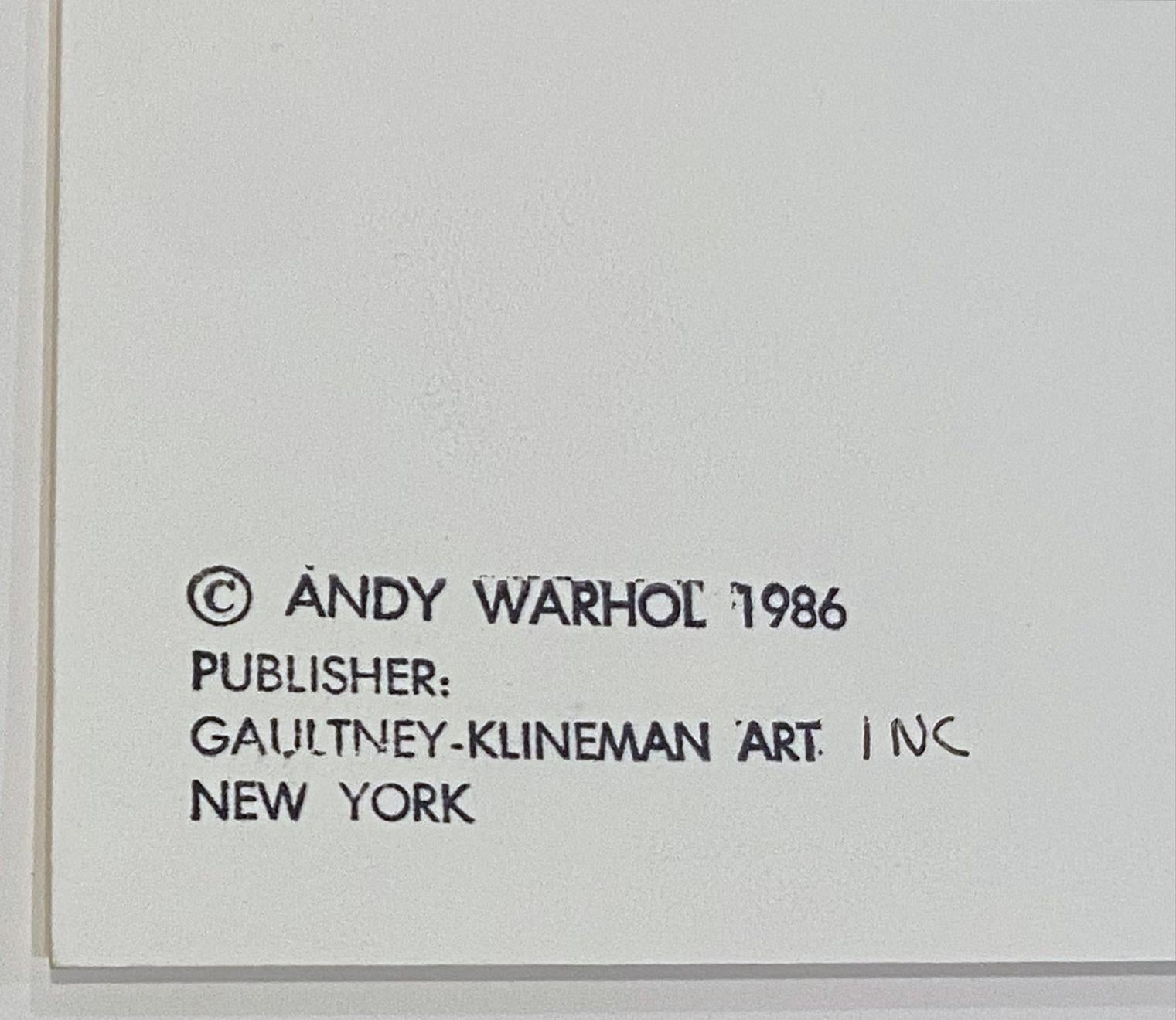 Andy Warhol Northwest Coast Mask 6