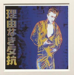 Andy Warhol 'Rebel Without a Cause (James Dean)' 1990 Vintage Pop Art