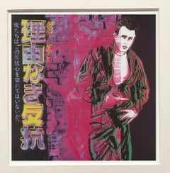 Andy Warhol 'Rebel Without a Cause (James Dean)' 1990 Pop Art