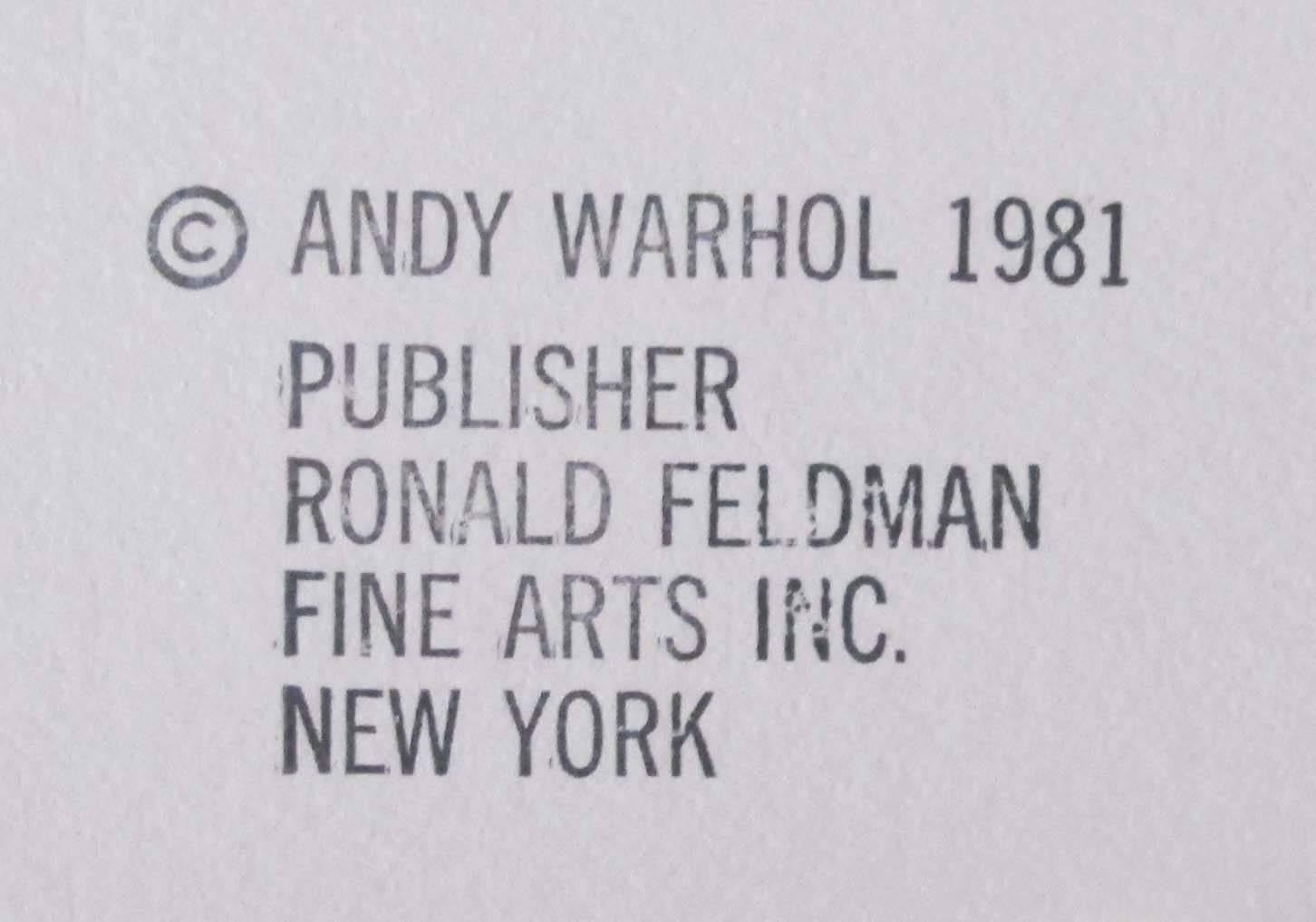 andy warhol witch