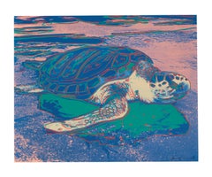 Andy Warhol 'Turtle' Screenprint, 1985