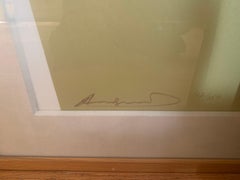 'Apples', from Space Fruit: Still Lifes