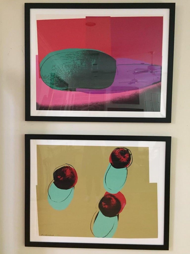 Andy Warhol - 'Apples', from Space Fruit: Still Lifes For Sale at 1stDibs
