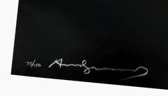 BALD EAGLE FS II.296