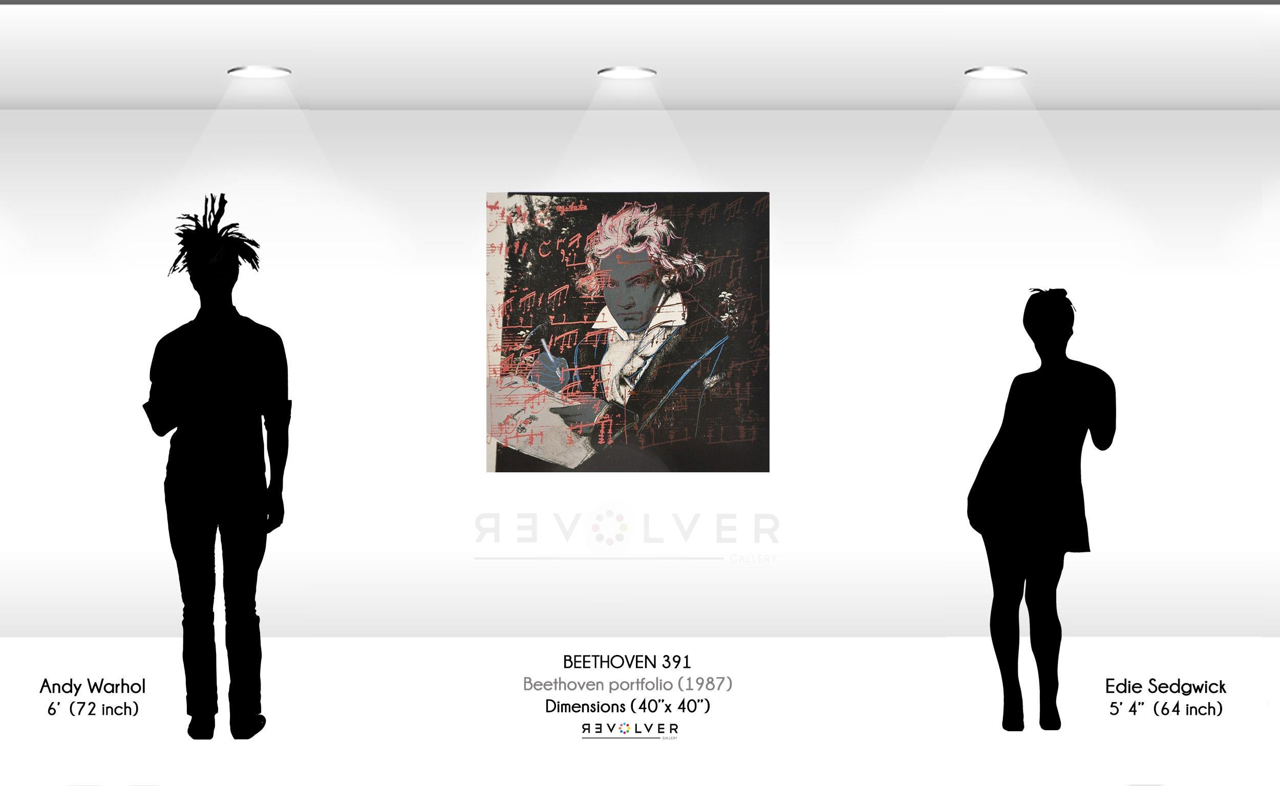 Beethoven (FS II.391) (Schwarz), Portrait Print, von Andy Warhol