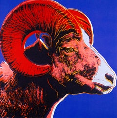Bighorn Ram - 1983 - Original Lithograph - Limited Edition Print - 82/100 pcs.