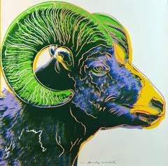Bighorn Ram from Endangered Species