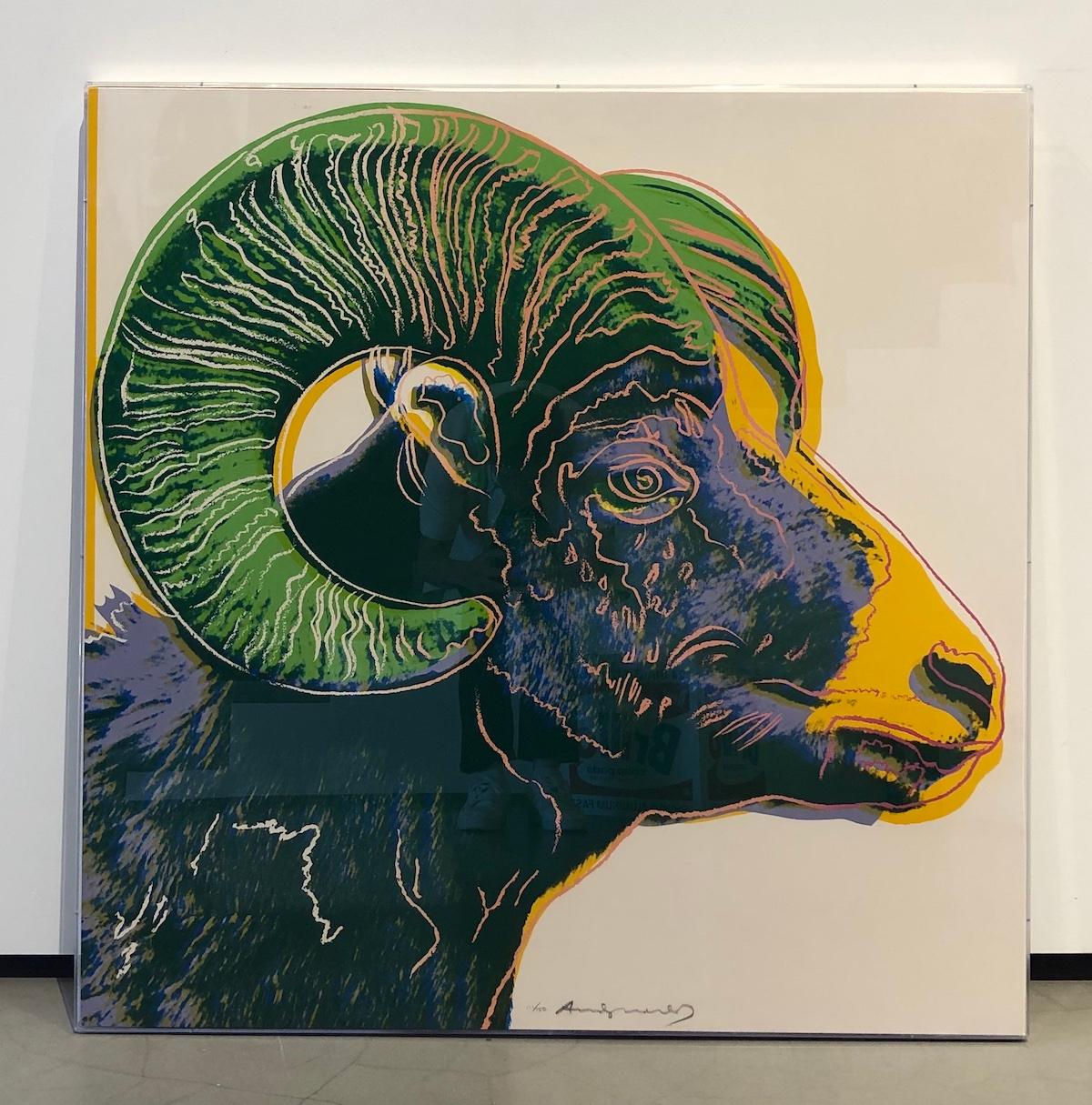 Bighorn Ram (FS II.302) 1
