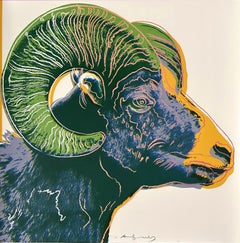 Bighorn Ram (FS II.302)