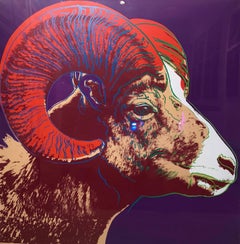 Bighorn Ram TP (FS II.302)