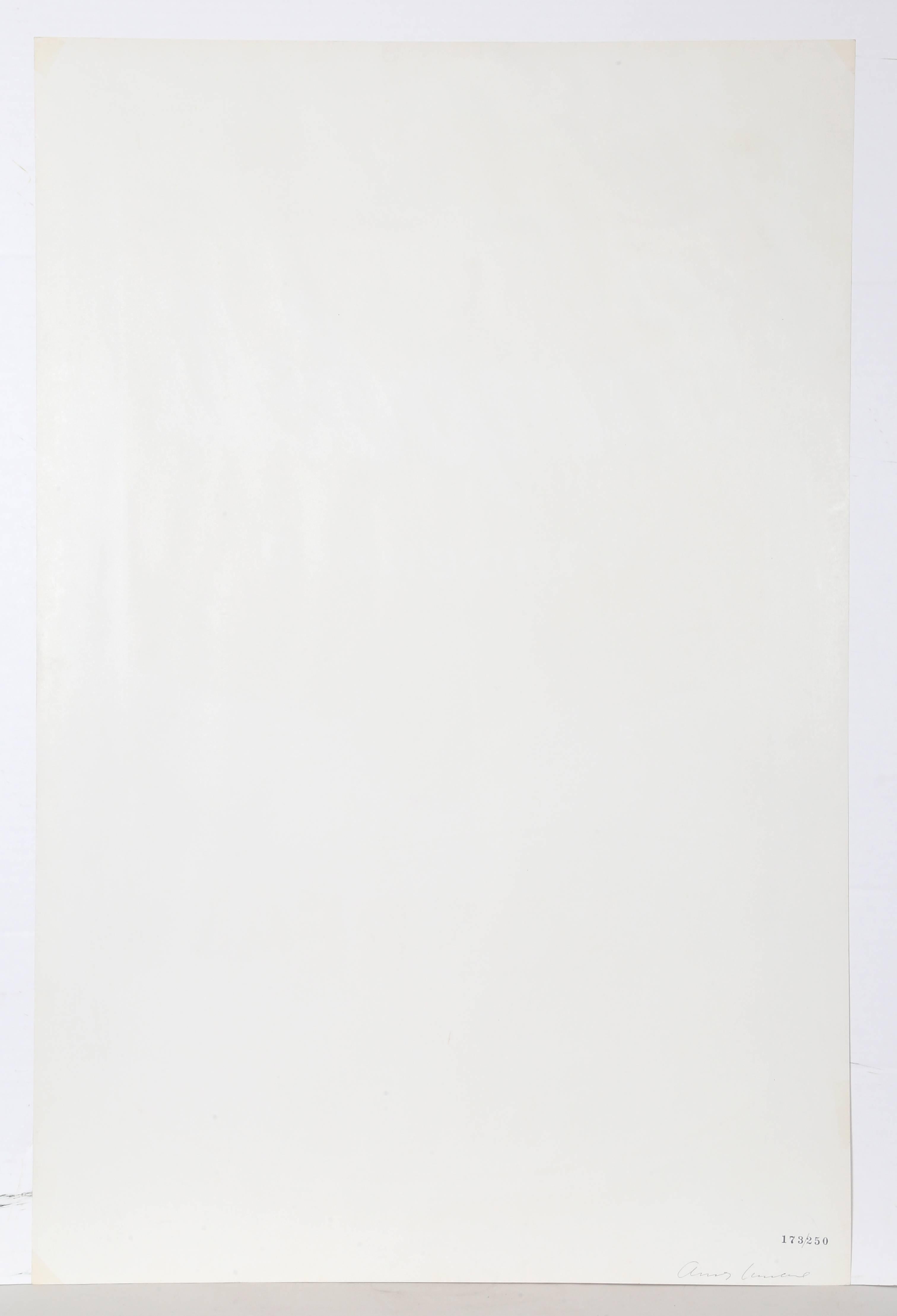 Black Bean from Campbell Soup I, FS.II.44 Screenprint by Andy Warhol 1968 1
