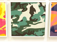 Camouflage (FS II.406)