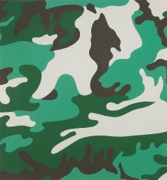 Vintage Camouflage (FS II.406) 