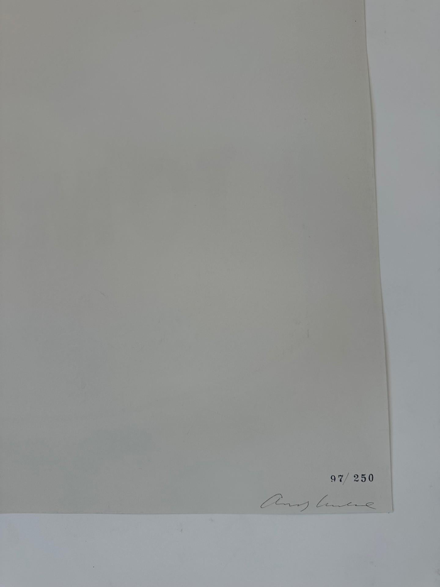 Signé à la main par Andy Warhol au stylo à bille au verso. Numéroté avec un tampon en caoutchouc au verso. L'une des images les plus célèbres et les plus reconnaissables de l'histoire de l'art, les boîtes de soupe Campbell d'Andy Warhol ont
