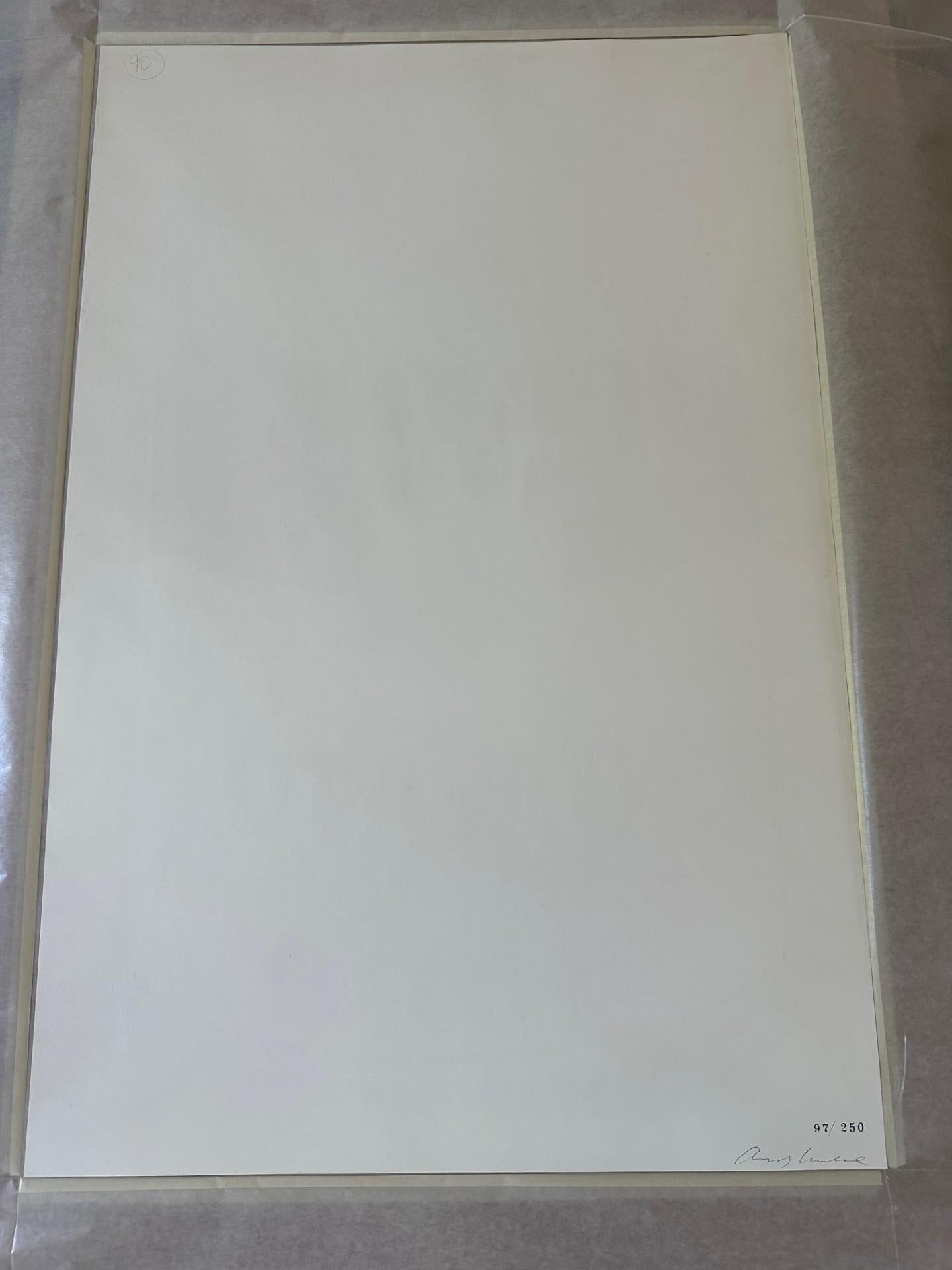 Campbell's Soup II, Scotch Broth F&S II.55 - Gray Still-Life Print by Andy Warhol