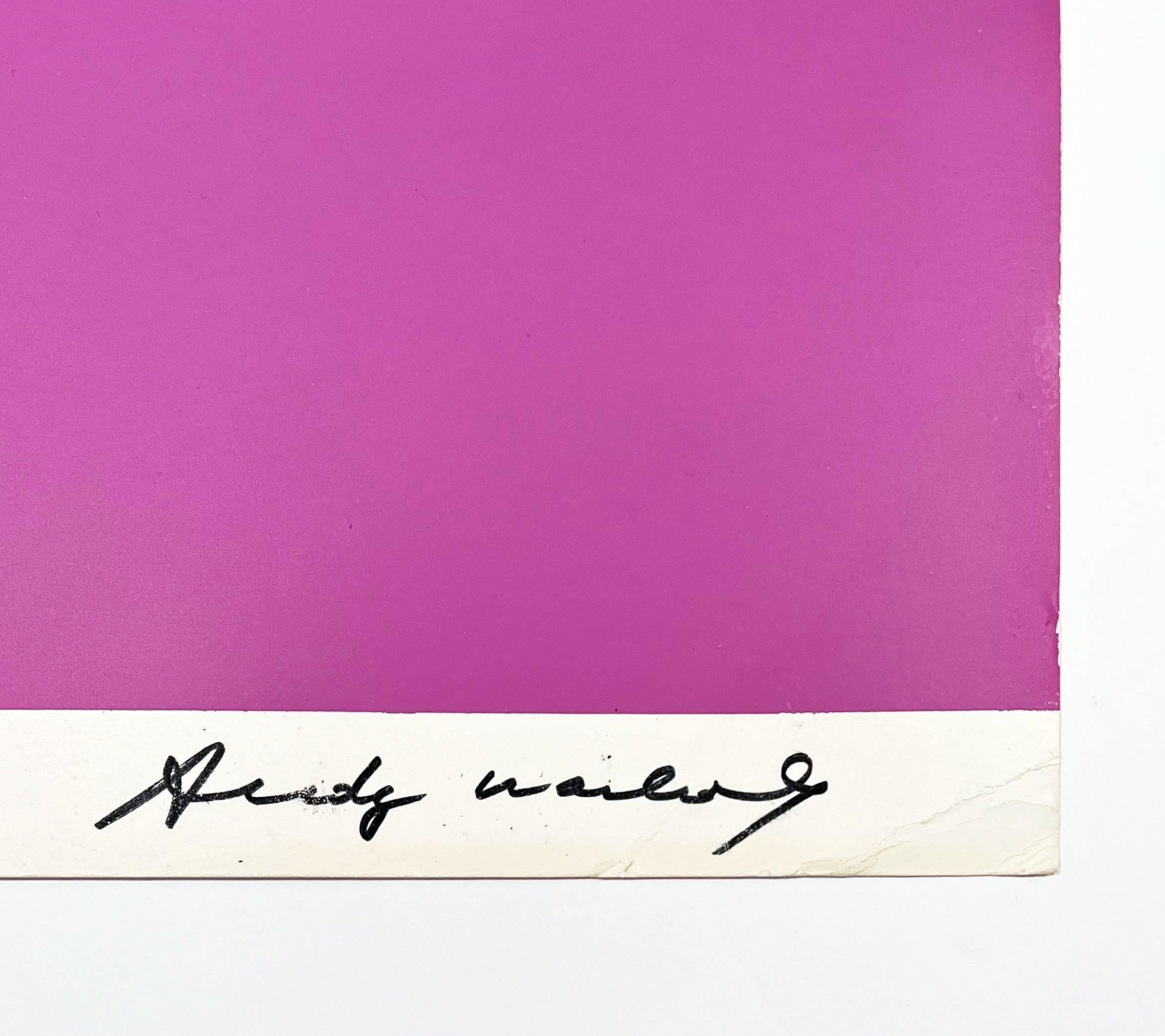 Andy Warhol - Cantaloupes II, from Space Fruit: Still Lifes For Sale at ...