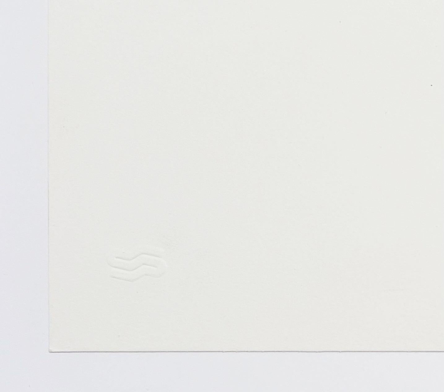 Artist: Andy Warhol
Title: Committee 2000
Medium: Screenprint on Lenox Museum Board
Date: 1982
Edition: 1772/2000
Frame Size: 37