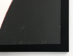 EDWARD KENNEDY FS II.240