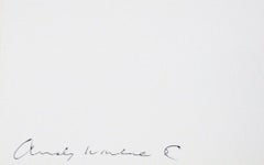 Electric Chair (Feldman & Schellmann II.83), Andy Warhol