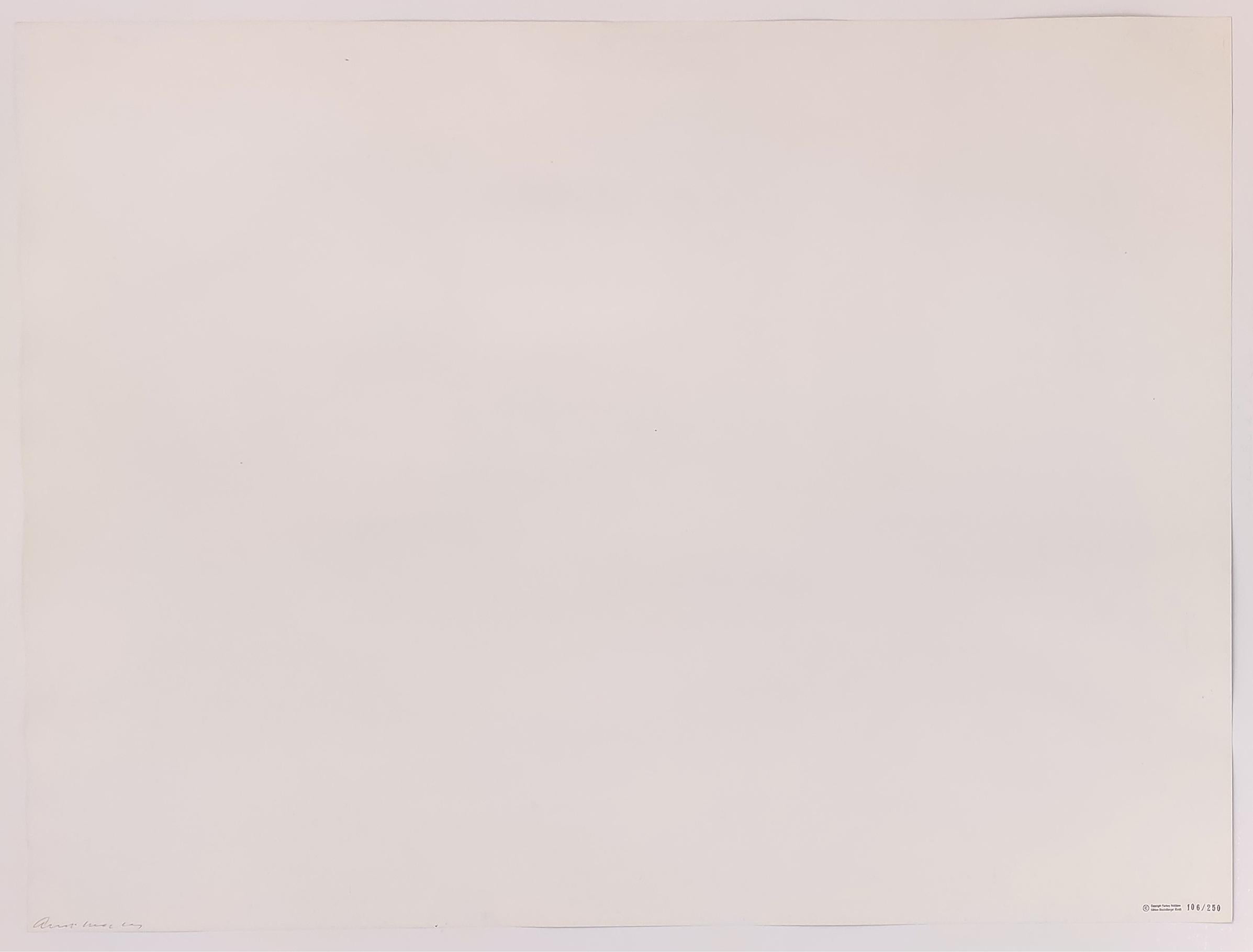 CHAISE ÉLECTRIC CHAIR FS II.79 - Print de Andy Warhol