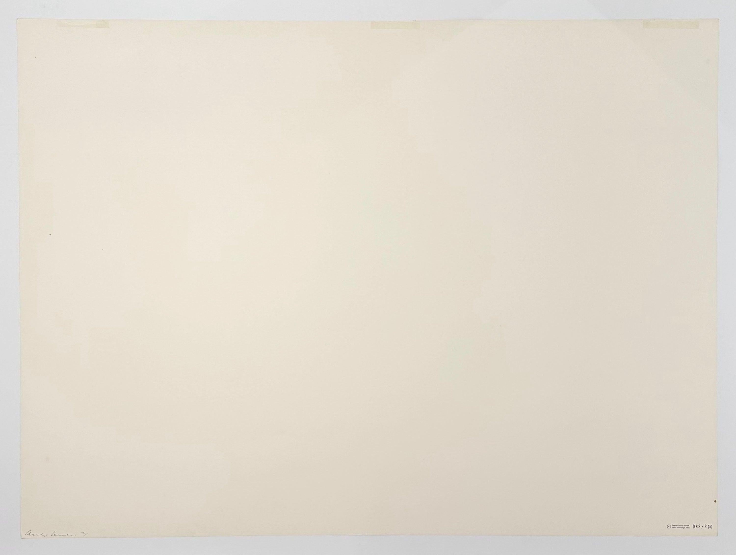 Artist: Andy Warhol
Title: Electric Chairs
Medium: Screenprint on paper
Date: 1971
Edition: 82/250
Frame Size: 35 1/2
