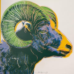 Endangered Species: Bighorn Ram