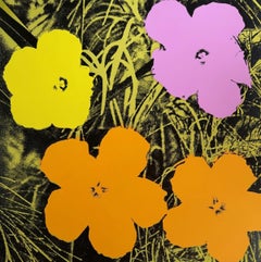 Flores nº 67