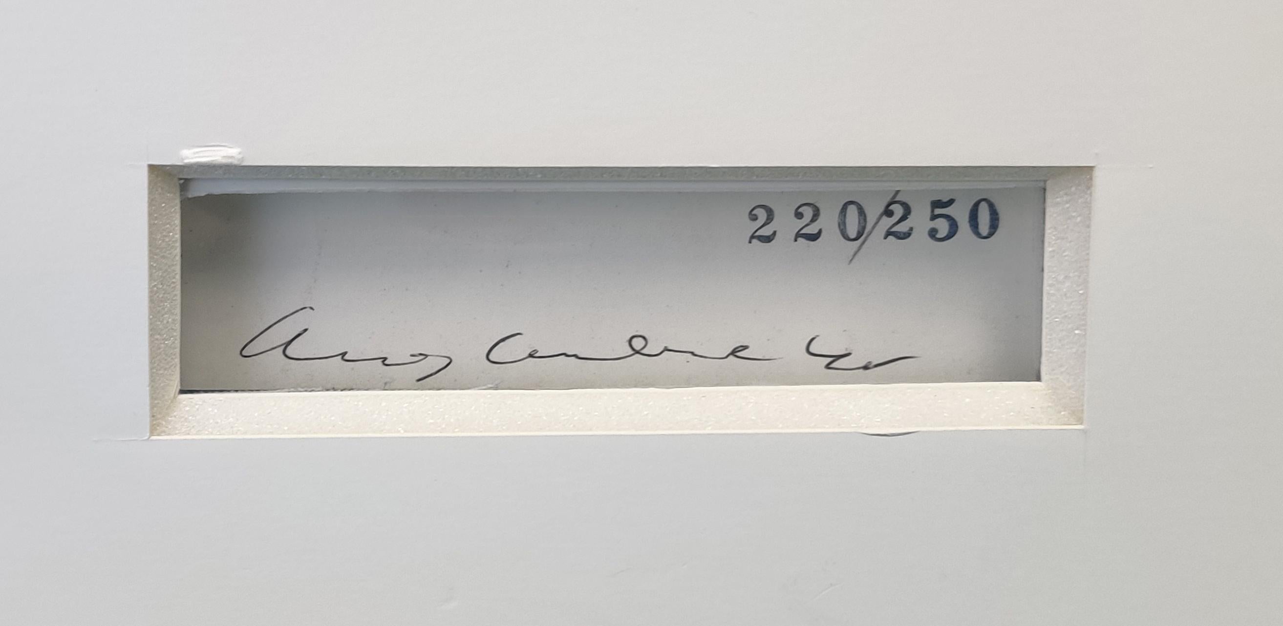 FLOWERS FS II.67 - Print by Andy Warhol