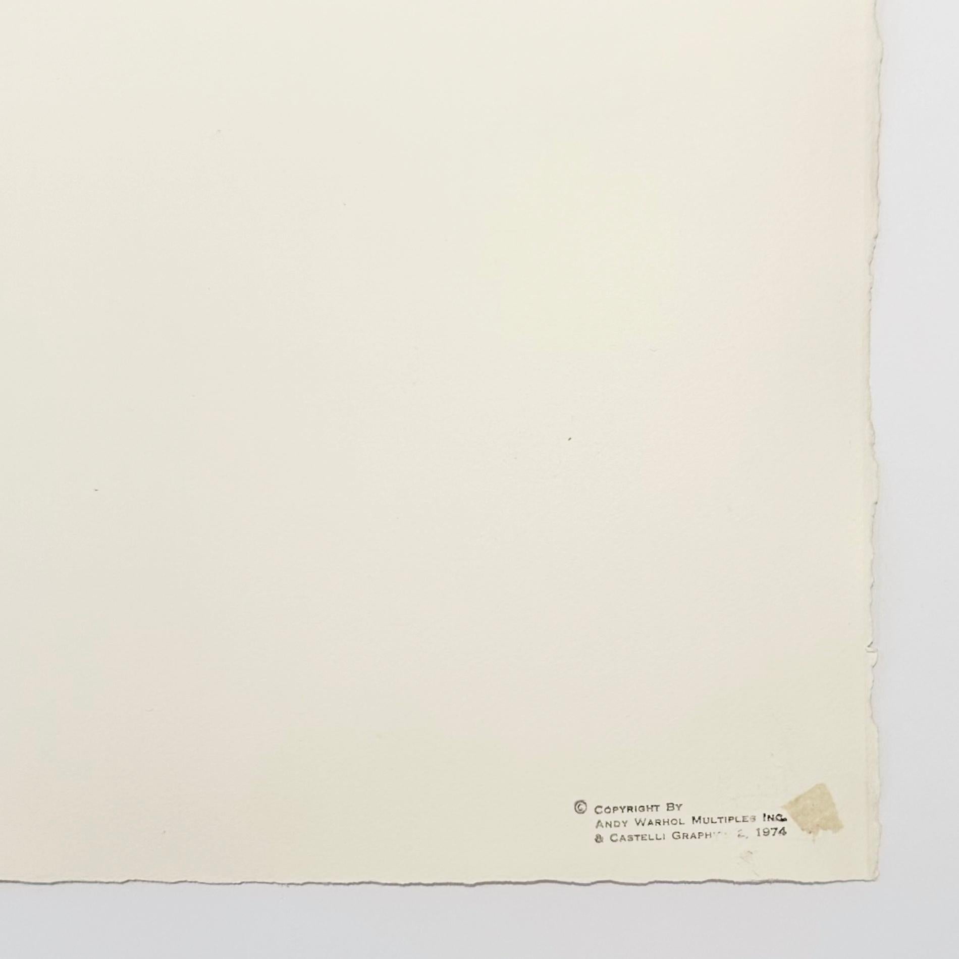 Künstler: Andy Warhol
Titel: Blumen (handkoloriert)
Medium: Siebdruck handkoloriert mit Aquarellfarbe auf weißem Velin
Datum: 1974
Auflage: 238/250
Blattgröße: 40 7/8