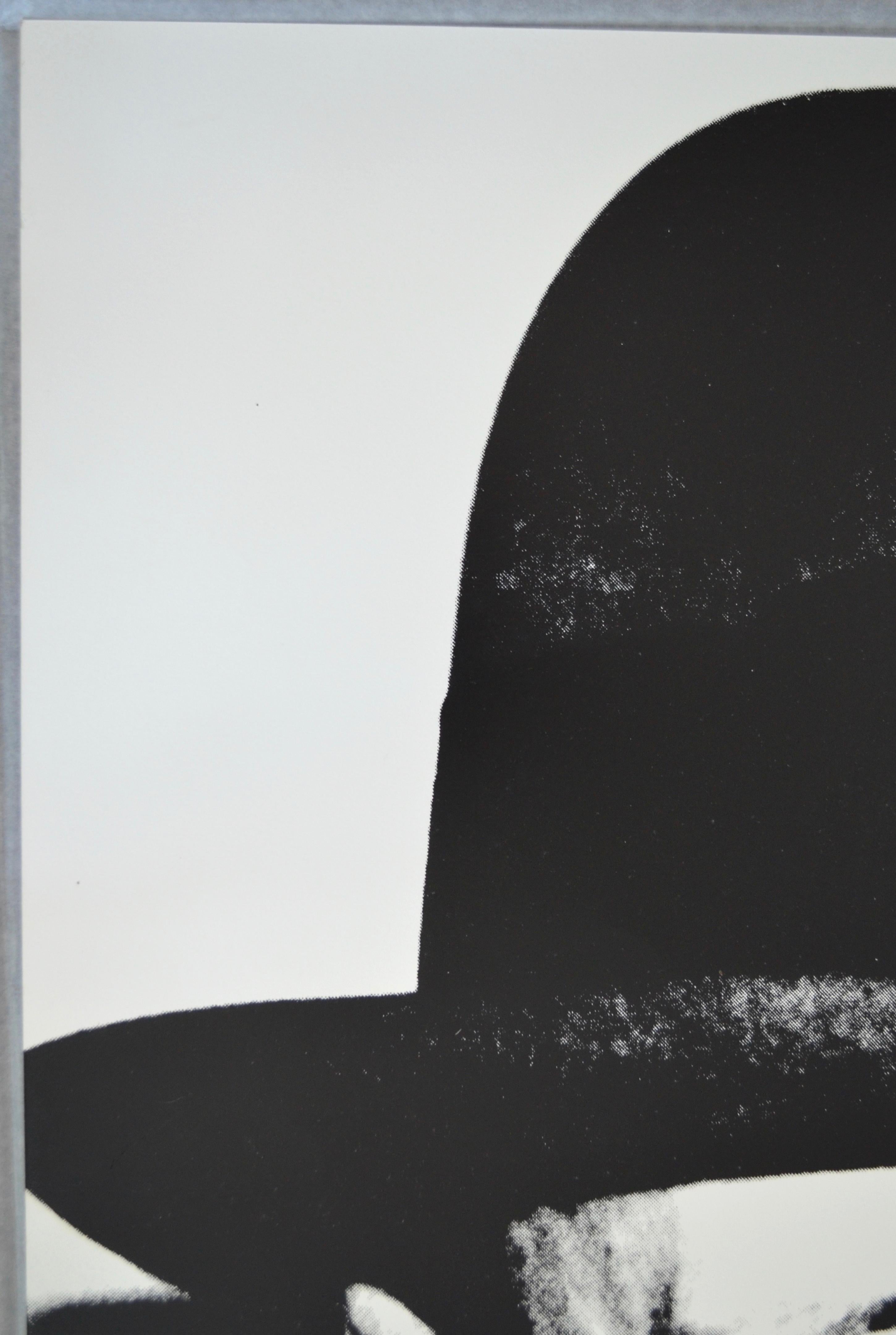 Joseph Beuys - Photograph Pop Art di Andy Warhol