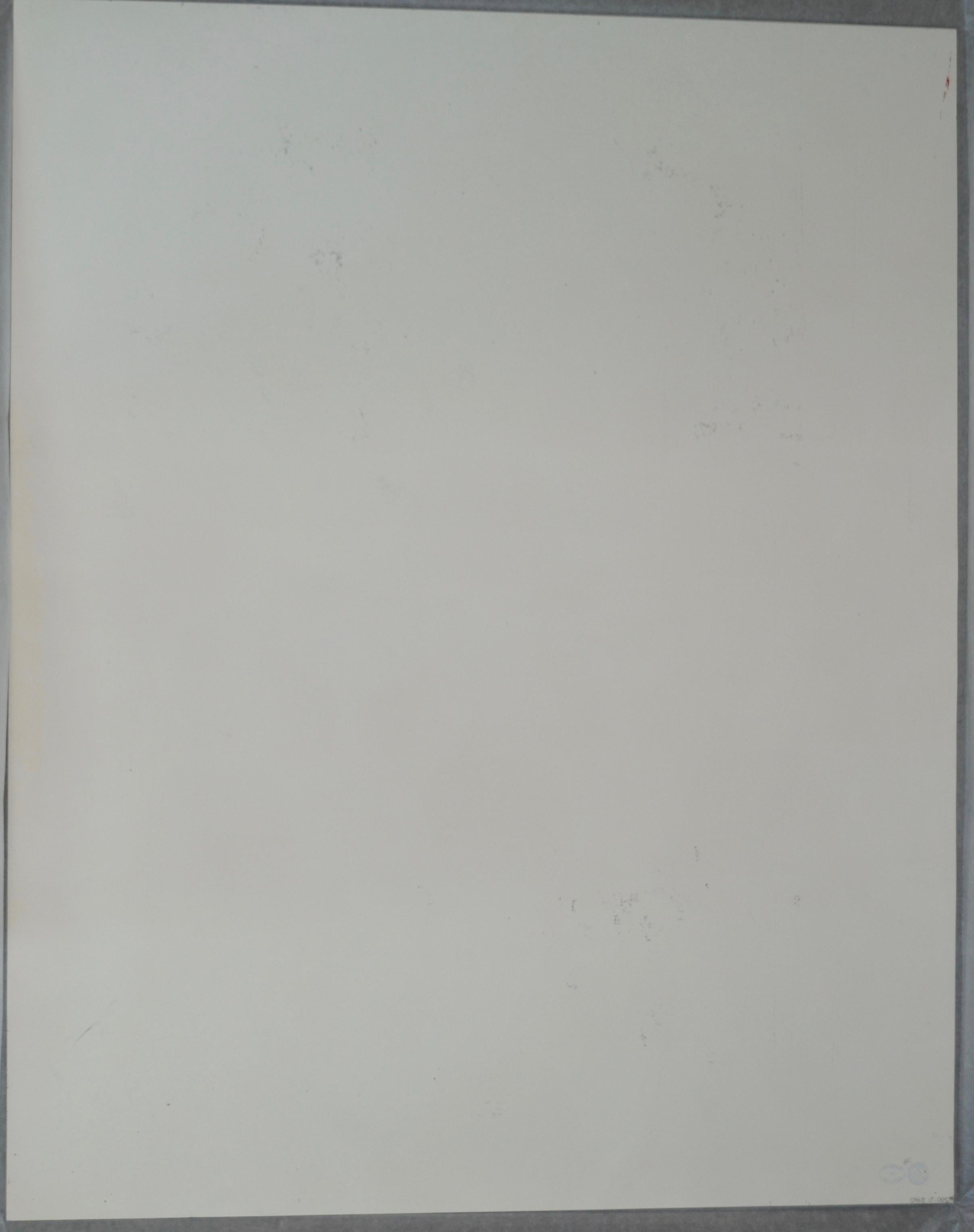 Andy Warhol (1928-1987)
Joseph Beuys (1980)

Screenprint and diamond dust on museum board
40 x 32 in (101.6 x 81.3 cm)
Unsigned

Authenticated by the Authentication Board of Andy Warhol Foundation for the Visual Arts (stamp on verso), Foundation