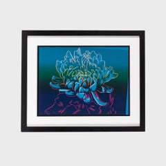 Kiku Andy Warhol Pop Artist, Limited Edition Print Set, Colour Flowers
