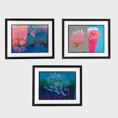  Kiku (Set)  Andy Warhol Pop Artist, Limited Edition Print Set, Colour Flowers