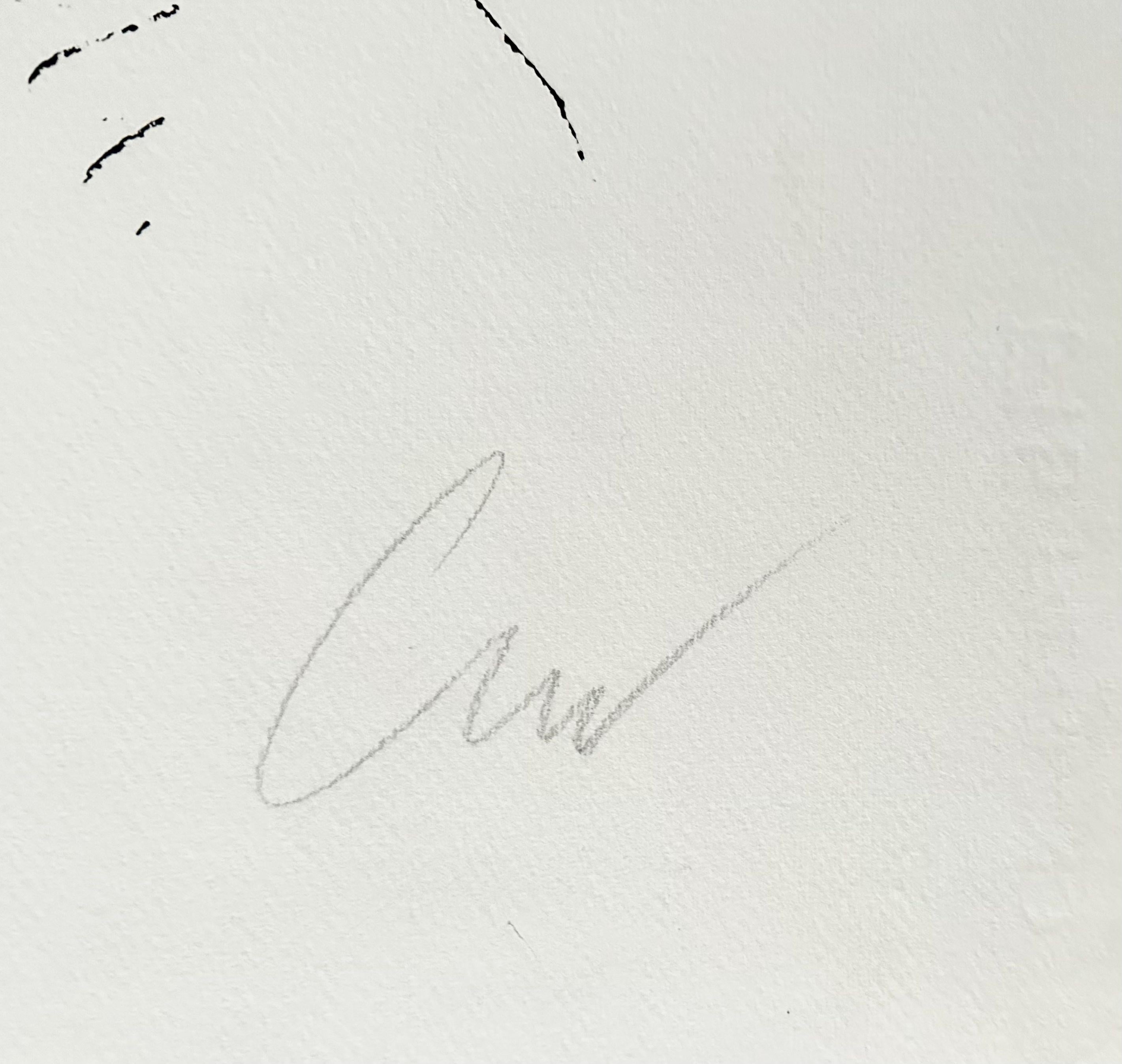 andy warhol ladies and gentlemen