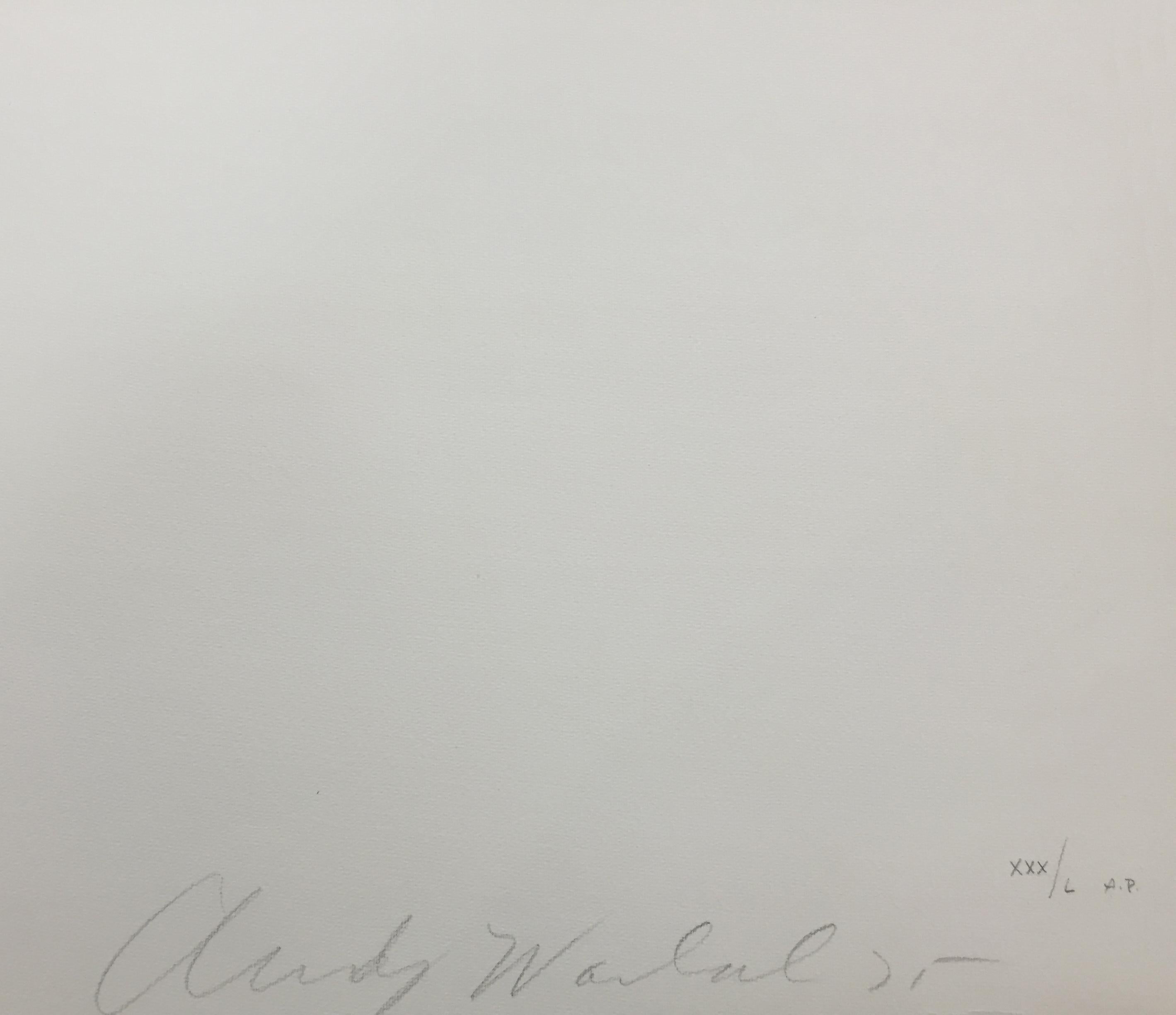 LADIES & GENTLEMEN FS II.127 - Print by Andy Warhol