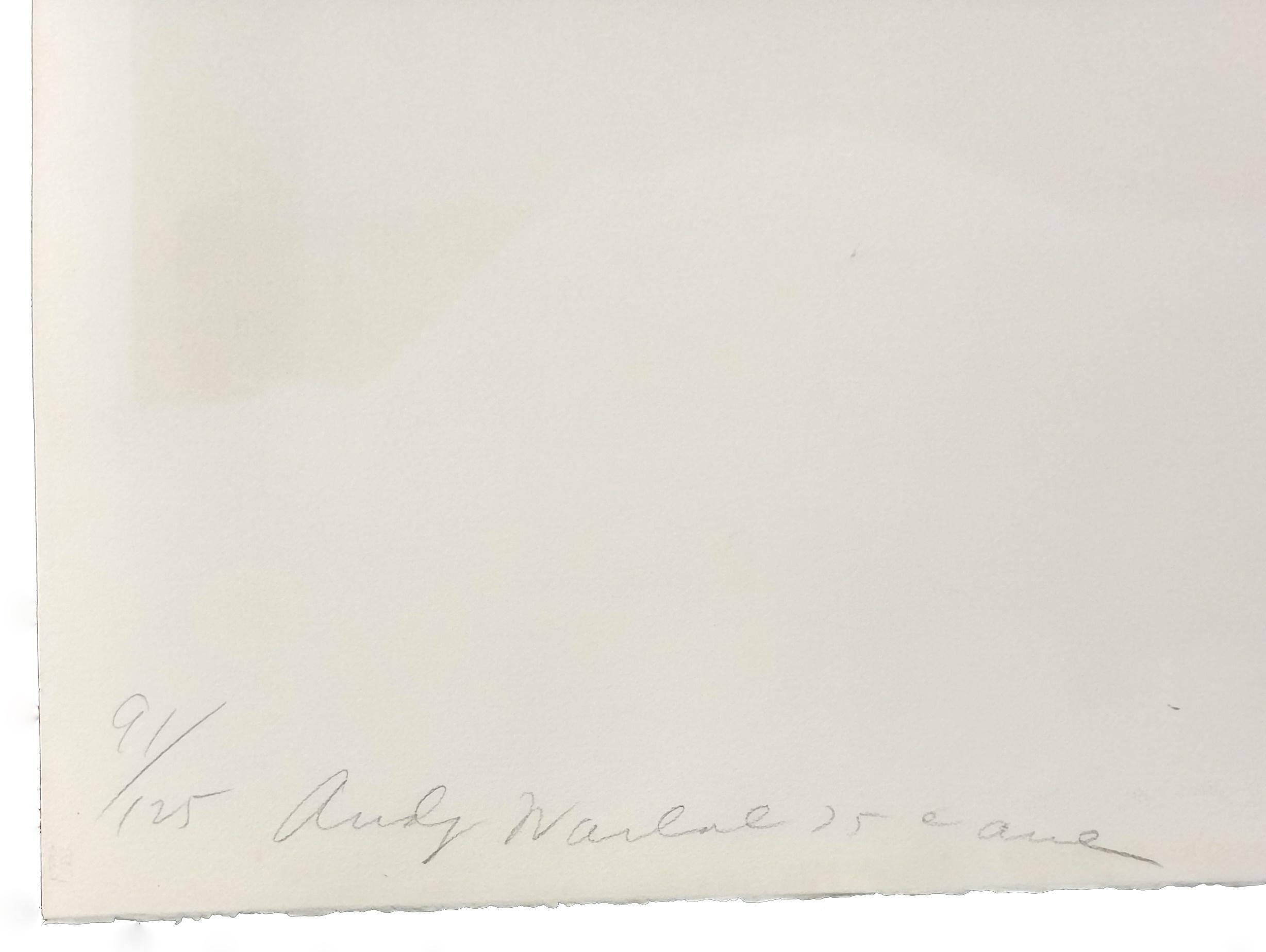 LADIES & GENTLEMEN FS II.134 - Print by Andy Warhol