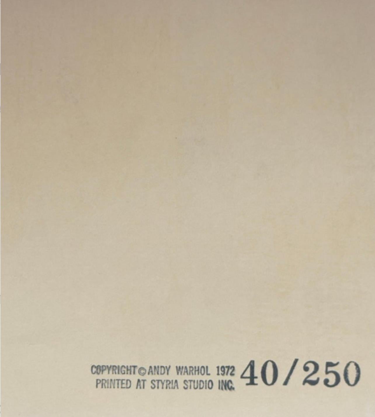 Mao 90 (Feldman/Schellmann II.90), Andy Warhol For Sale 5
