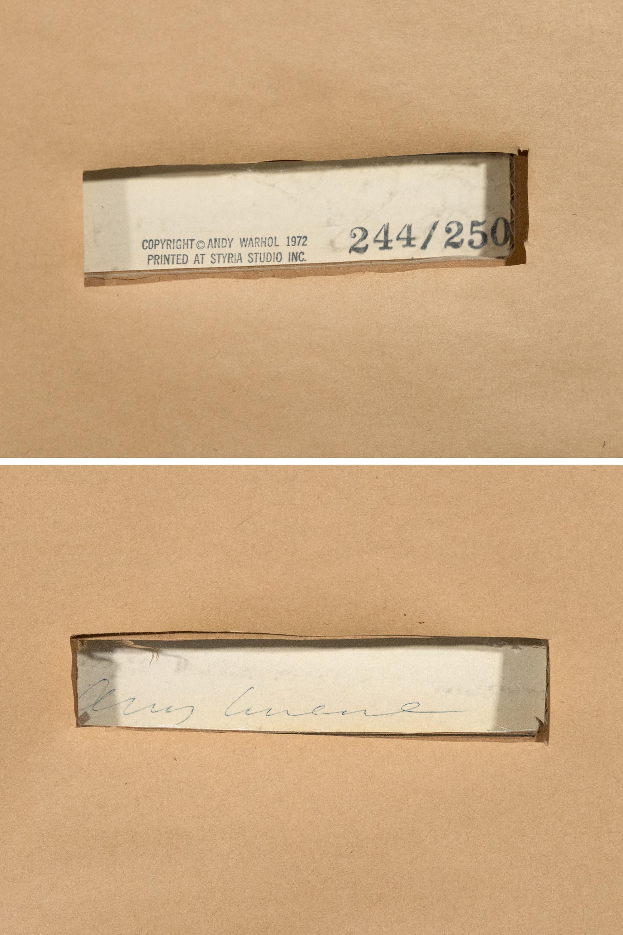 Mao #99 - Pop-Art-Siebdruck Porträt von Mao Zedong, 1972 im Angebot 5