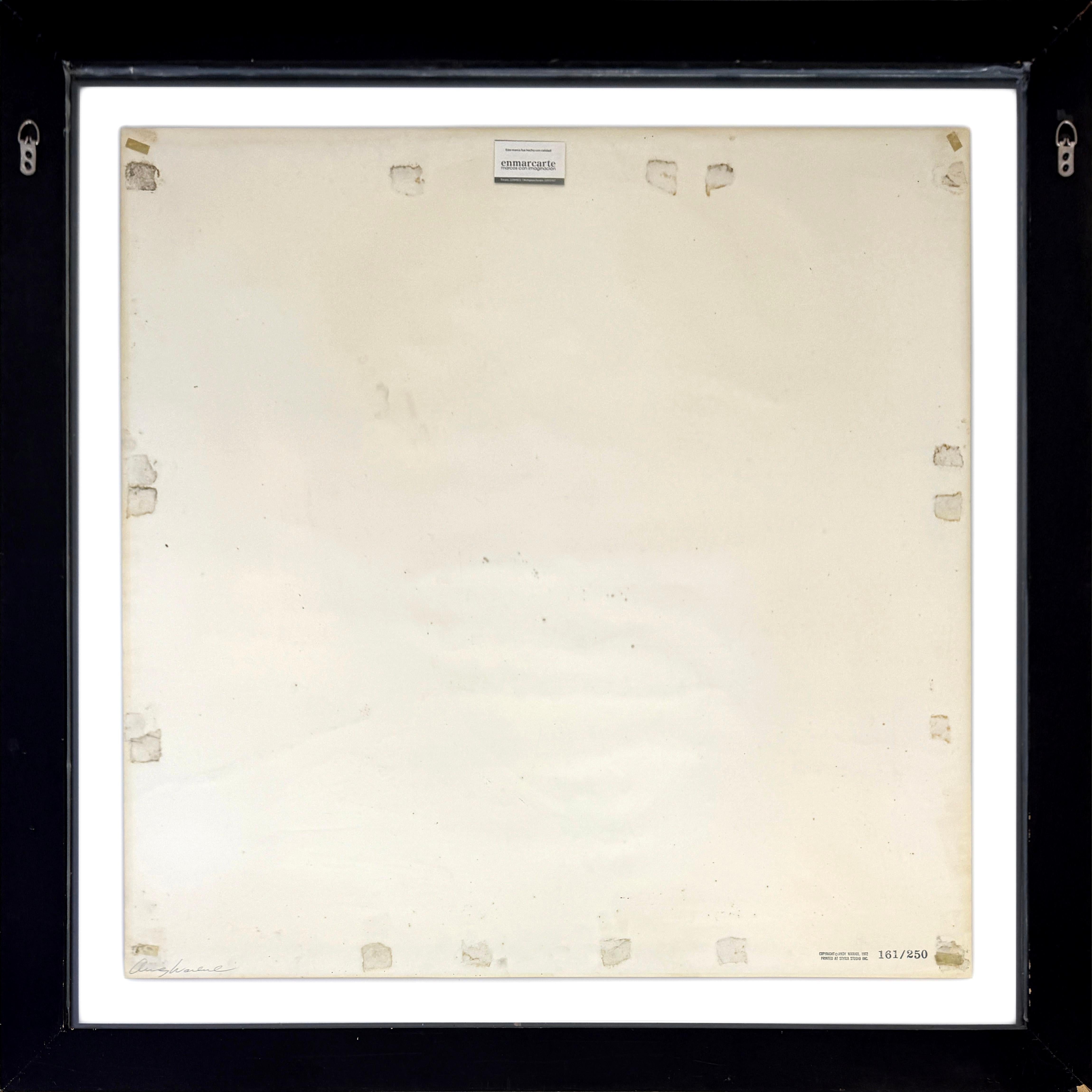 Mao FS II.93 (hand signed screen print from Mao portfolio) - Print by Andy Warhol