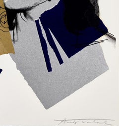 Mick Jagger F&S 142 Iconic Pop Art Screenprint in colors on Arches Aquarelle