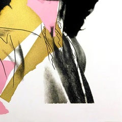 Mick Jagger F&S 143 Iconic Pop Art Screenprint in colors Vintage Print